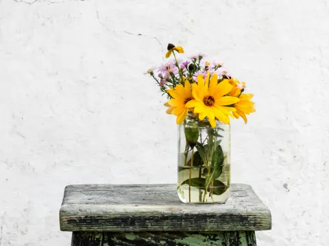 Lifestyle image of flowers